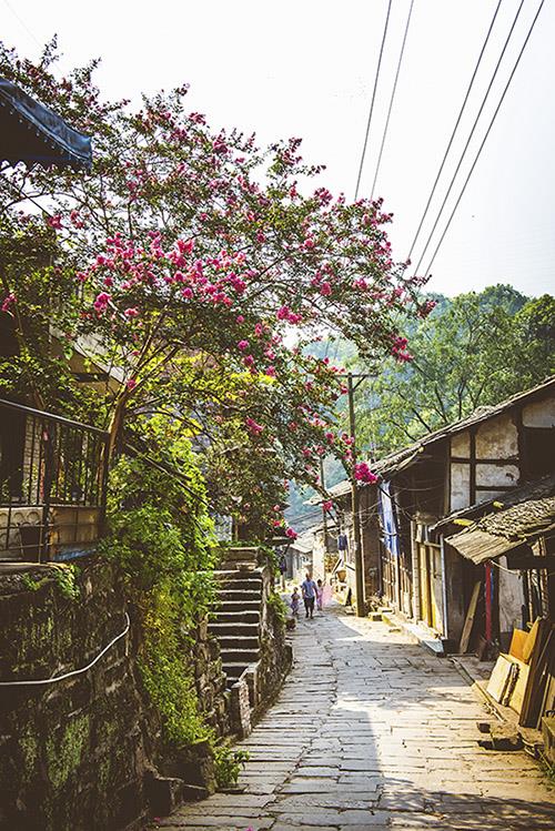 pp电子·模拟器(试玩游戏)官方网站