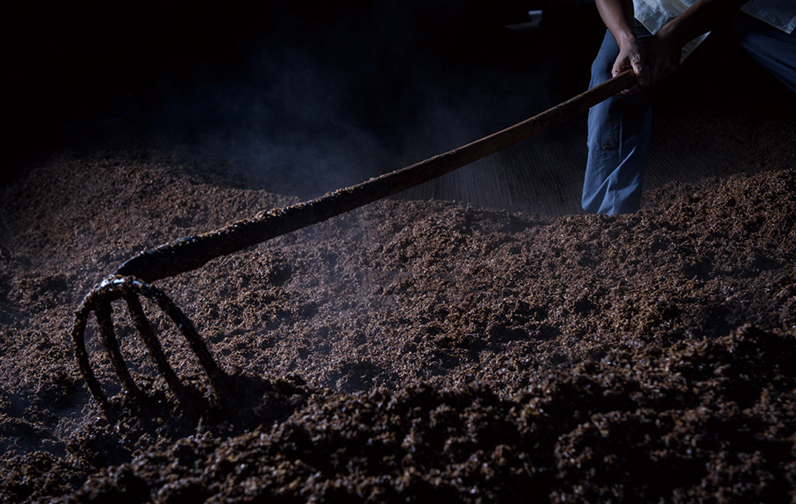 pp电子·模拟器(试玩游戏)官方网站